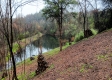 Cabin On The Pond property photo