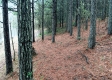 Cabin On The Pond property photo