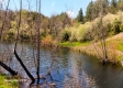 More of Cabin On The Pond