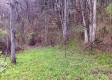 Cabin On The Pond property photo