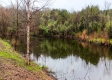 More of Cabin On The Pond