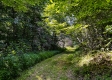 Tract 9 at The Woods on Wayne National Forest property photo