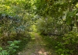 Tract 9 at The Woods on Wayne National Forest property photo