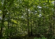 Tract 9 at The Woods on Wayne National Forest property photo