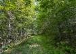 Tract 9 at The Woods on Wayne National Forest property photo