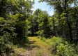 Tract 9 at The Woods on Wayne National Forest property photo