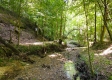 More of Tract 9 at The Woods on Wayne National Forest