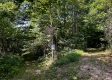 Tract 9 at The Woods on Wayne National Forest property photo