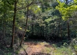 Tract 9 at The Woods on Wayne National Forest property photo