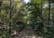 Tract 9 at The Woods on Wayne National Forest property photo