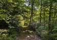 Tract 9 at The Woods on Wayne National Forest property photo