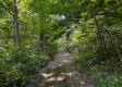 Tract 9 at The Woods on Wayne National Forest property photo