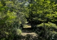 Tract 9 at The Woods on Wayne National Forest property photo