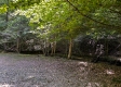 Tract 9 at The Woods on Wayne National Forest property photo