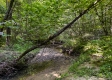 Tract 9 at The Woods on Wayne National Forest property photo