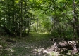 Tract 9 at The Woods on Wayne National Forest property photo