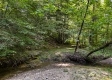 More of Tract 9 at The Woods on Wayne National Forest