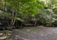 More of Tract 9 at The Woods on Wayne National Forest
