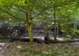 Tract 9 at The Woods on Wayne National Forest