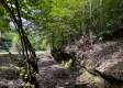 Tract 10 at The Woods on Wayne National Forest property photo