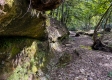 Tract 10 at The Woods on Wayne National Forest property photo
