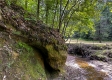 Tract 10 at The Woods on Wayne National Forest property photo