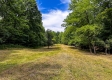 More of Tract 10 at The Woods on Wayne National Forest