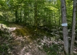 More of Tract 10 at The Woods on Wayne National Forest