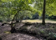 Tract 10 at The Woods on Wayne National Forest