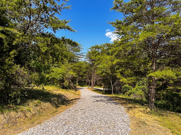 Tract 11 at The Woods on Wayne National Forest property photo