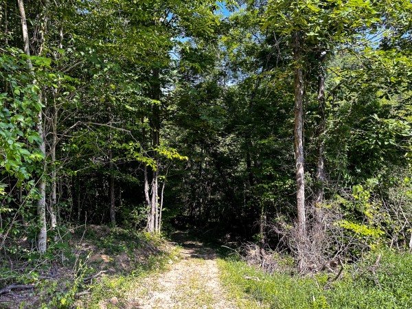 Tract 11 at The Woods on Wayne National Forest property photo