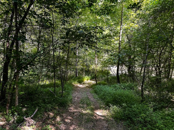 Tract 11 at The Woods on Wayne National Forest property photo
