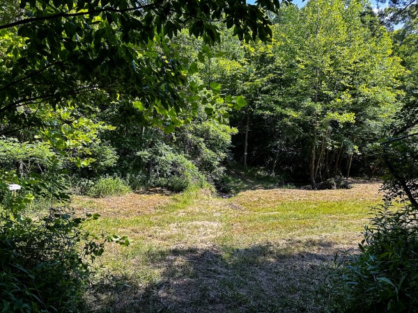 Tract 11 at The Woods on Wayne National Forest property photo