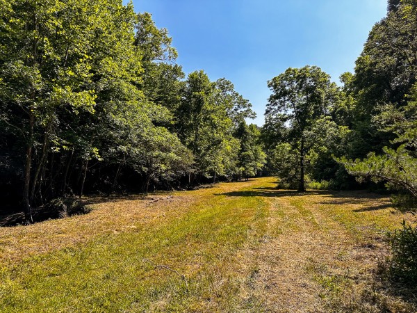 Tract 11 at The Woods on Wayne National Forest property photo