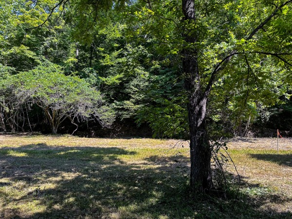 Tract 11 at The Woods on Wayne National Forest property photo