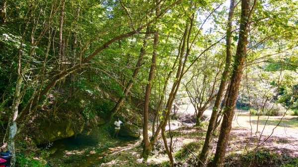 More of Tract 11 at The Woods on Wayne National Forest
