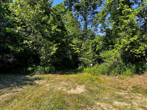Tract 11 at The Woods on Wayne National Forest property photo