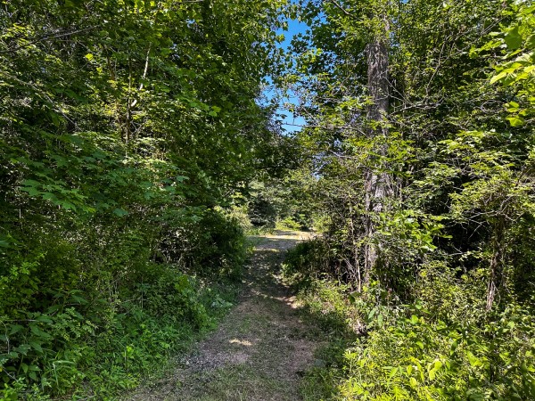 Tract 11 at The Woods on Wayne National Forest property photo