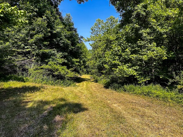 Tract 11 at The Woods on Wayne National Forest property photo
