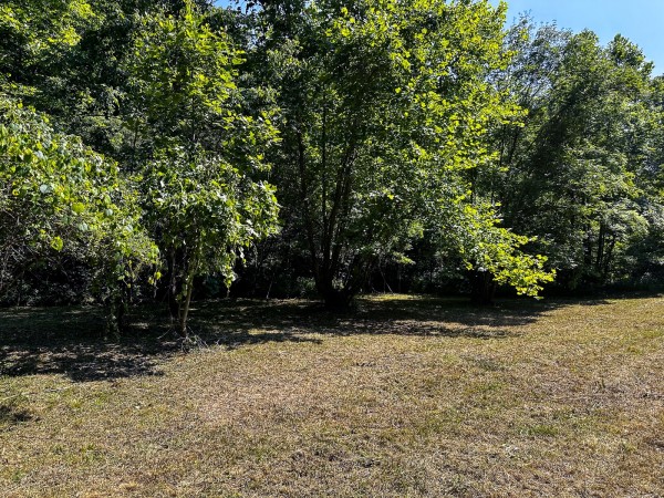 Tract 11 at The Woods on Wayne National Forest property photo
