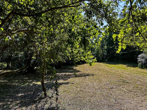 Tract 11 at The Woods on Wayne National Forest property photo