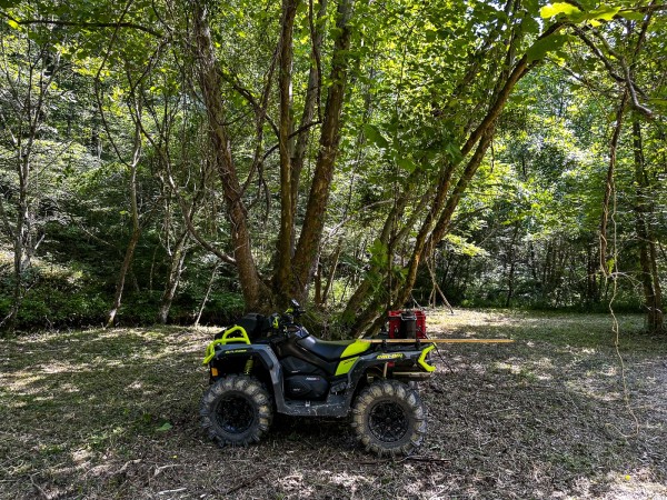 Tract 11 at The Woods on Wayne National Forest property photo