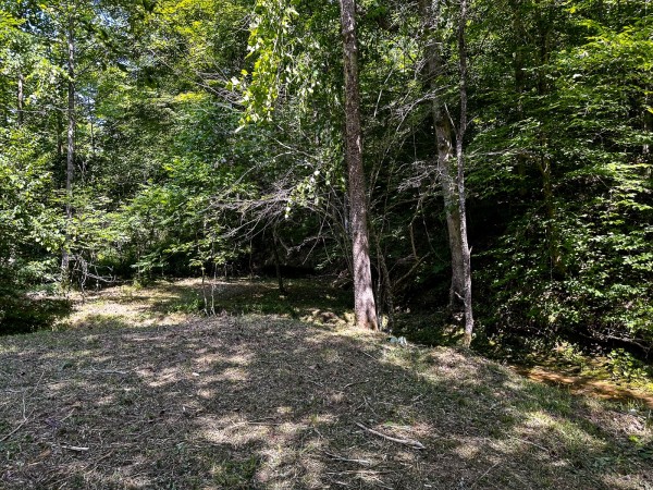 Tract 11 at The Woods on Wayne National Forest property photo