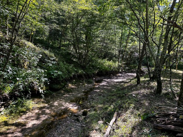 Tract 11 at The Woods on Wayne National Forest property photo