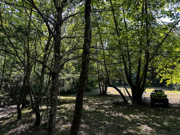More of Tract 11 at The Woods on Wayne National Forest