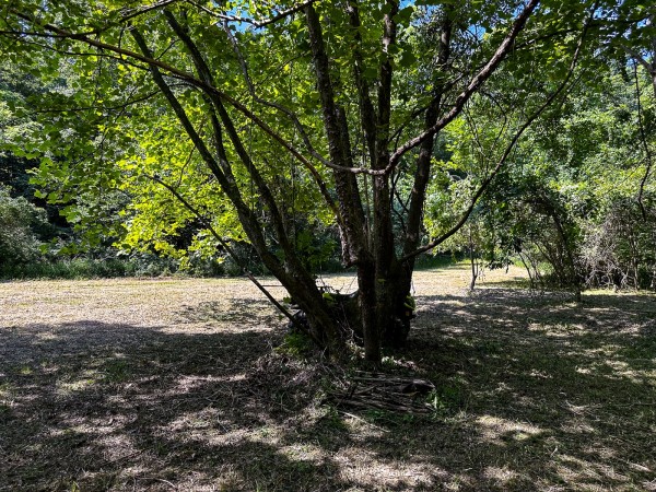 Tract 11 at The Woods on Wayne National Forest property photo