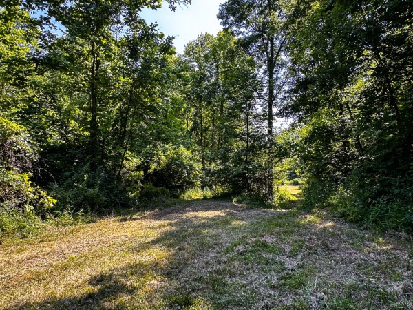 Tract 11 at The Woods on Wayne National Forest property photo