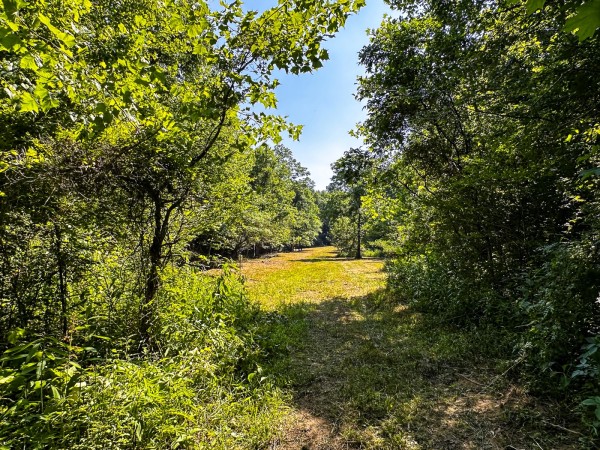 Tract 11 at The Woods on Wayne National Forest property photo