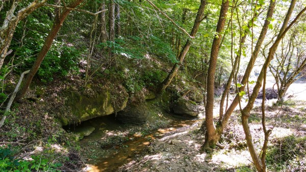 More of Tract 11 at The Woods on Wayne National Forest
