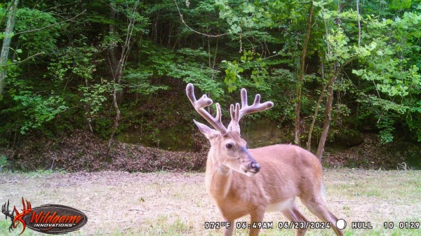 More of Tract 11 at The Woods on Wayne National Forest